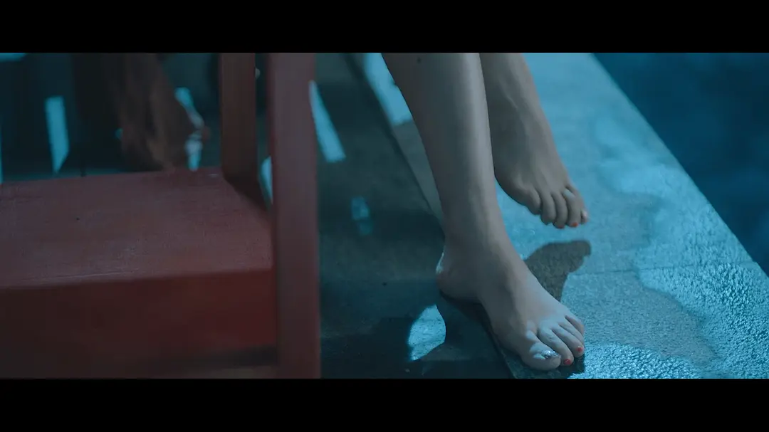 猎黑行动 (2023)