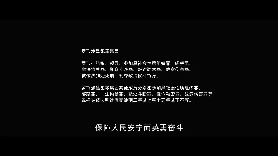 猎黑行动 (2023)