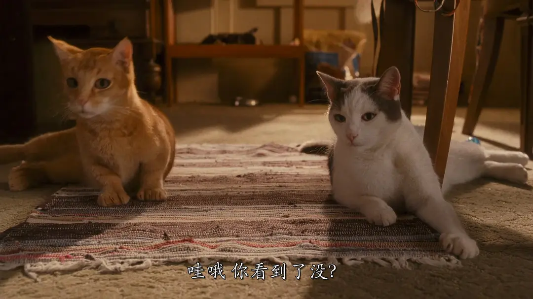 猫狗大战3：爪爪集结！ Cats & Dogs 3: Paws Unite! (2020)