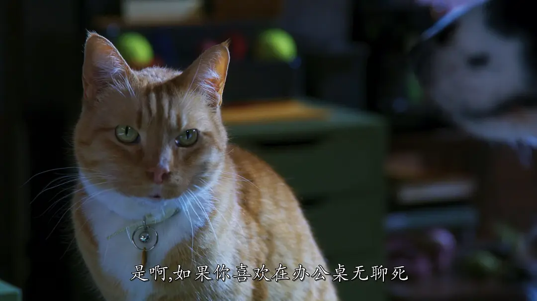 猫狗大战3：爪爪集结！ Cats & Dogs 3: Paws Unite! (2020)