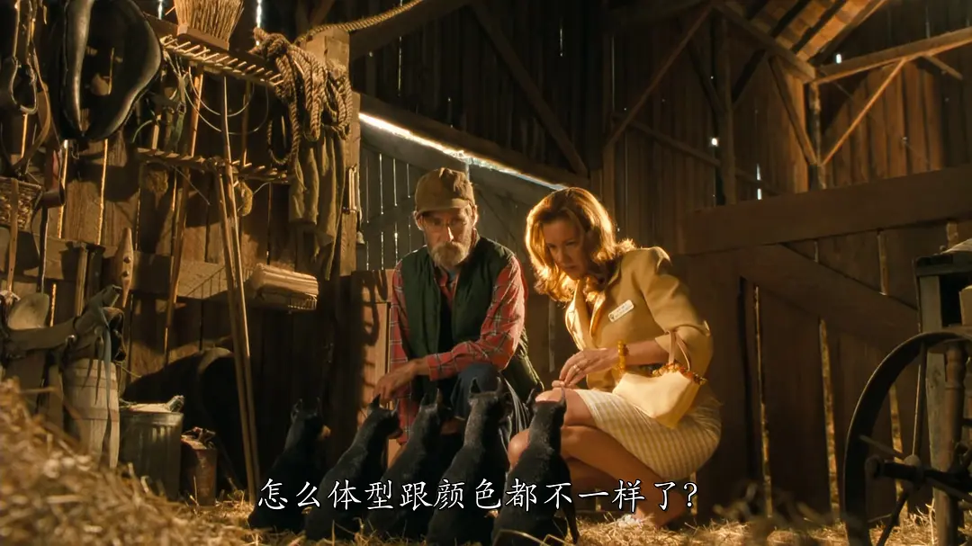猫狗大战3：爪爪集结！ Cats & Dogs 3: Paws Unite! (2020)