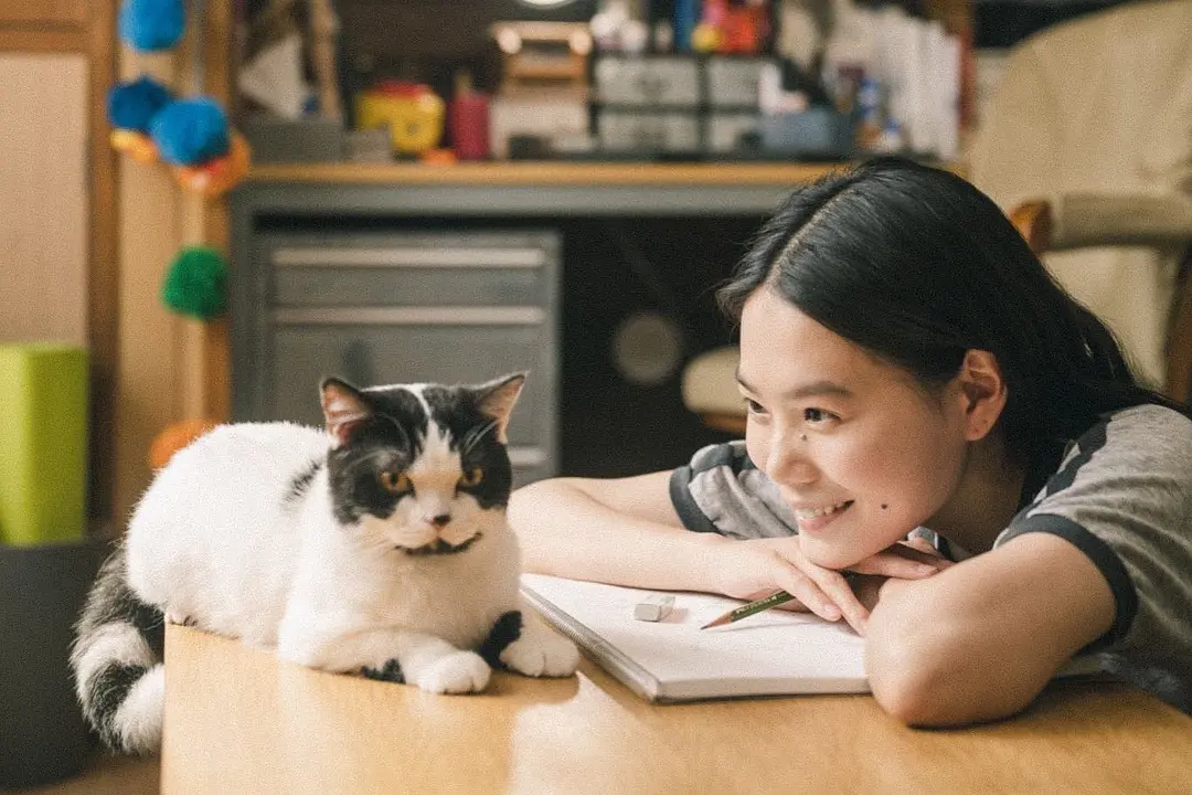 猫猫逃走了 猫は逃げた (2022)