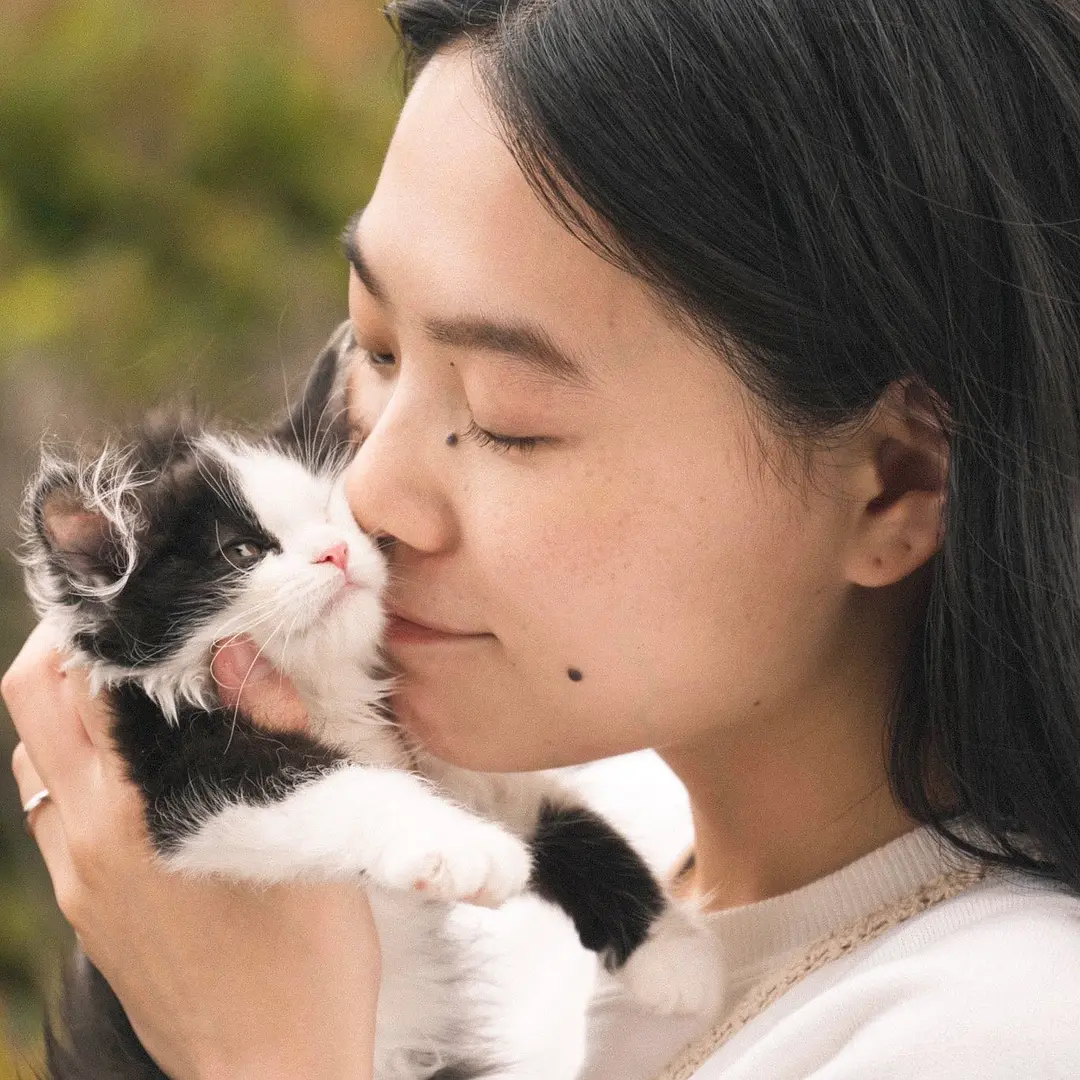 猫猫逃走了 猫は逃げた (2022)