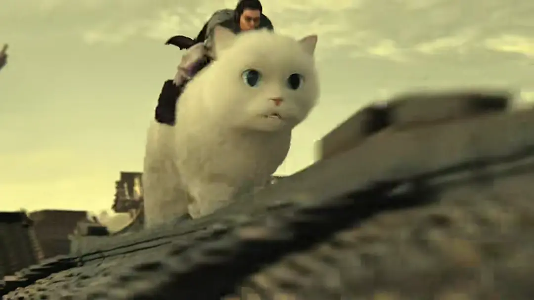 猫妖奇谭 (2024)