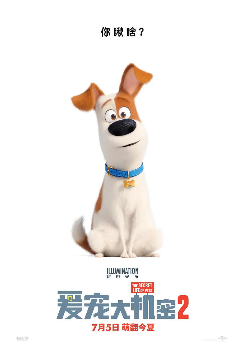 爱宠大机密2 The Secret Life of Pets 2 (2019)