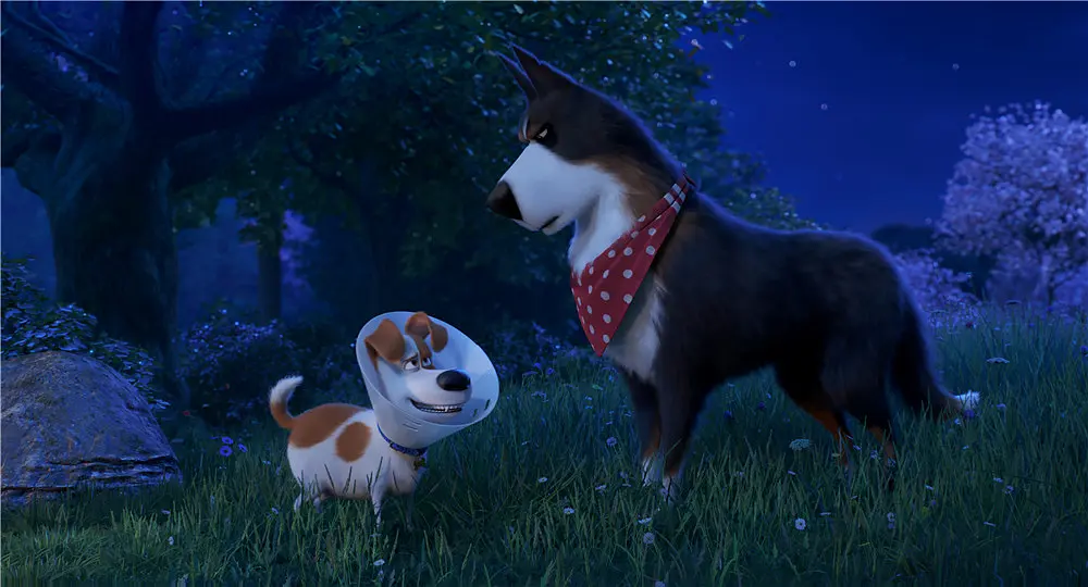爱宠大机密2 The Secret Life of Pets 2 (2019)