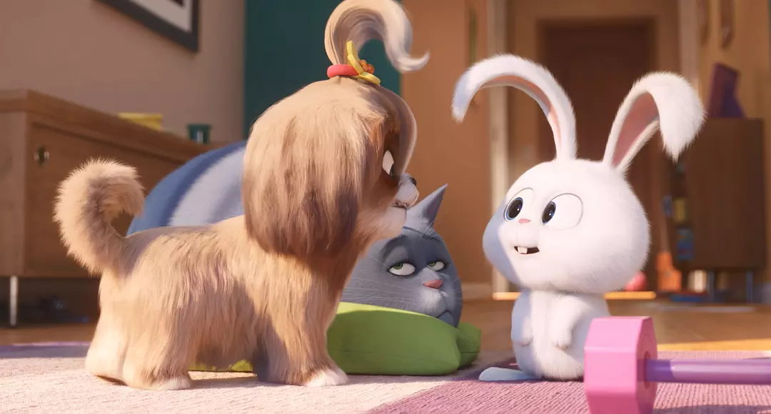 爱宠大机密2 The Secret Life of Pets 2 (2019)