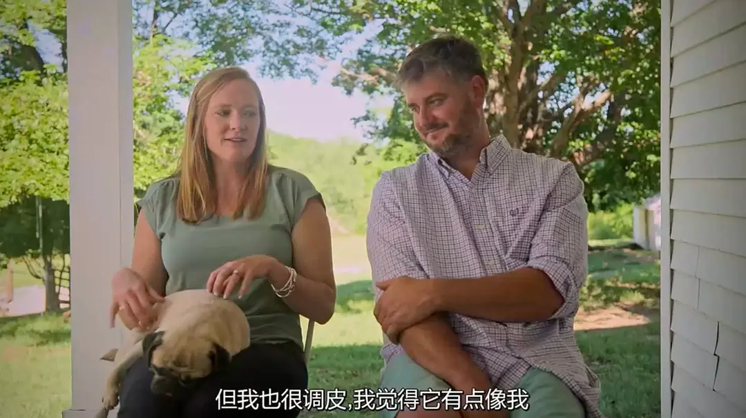爱宠情缘 Pets (2025)