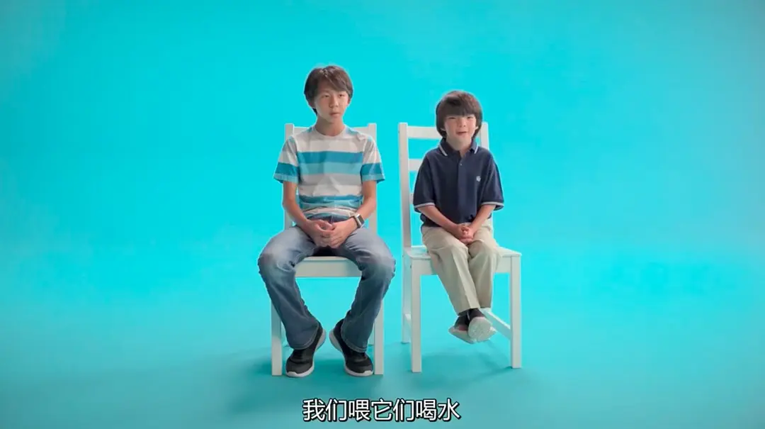 爱宠情缘 Pets (2025)