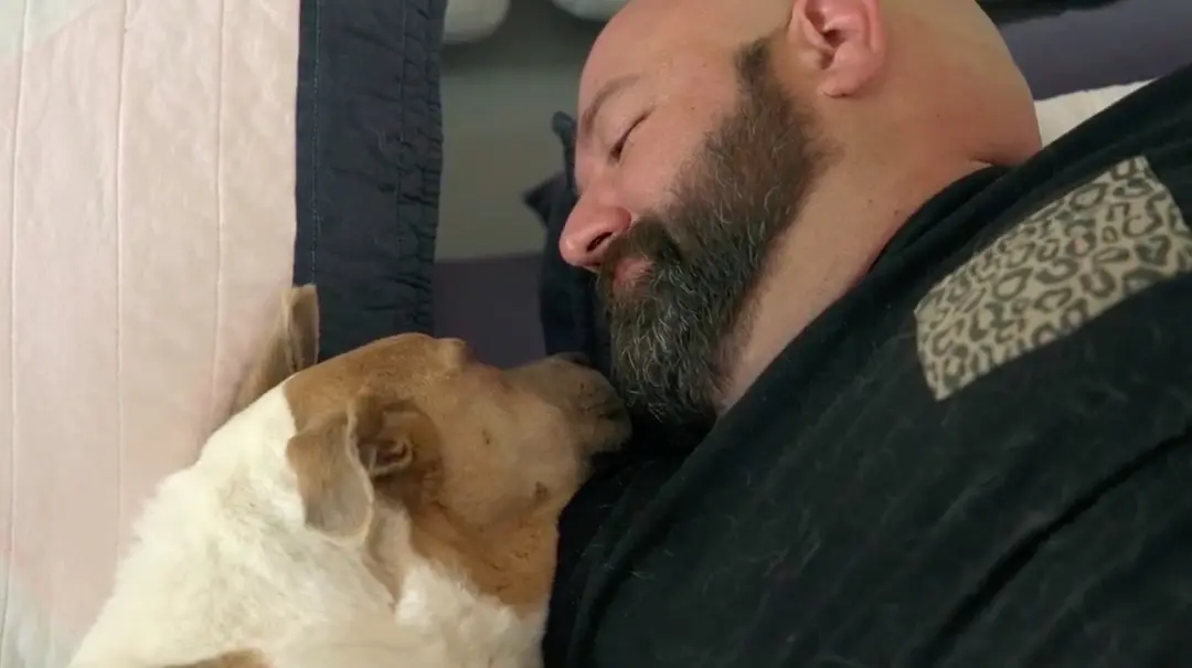 爱宠情缘 Pets (2025)