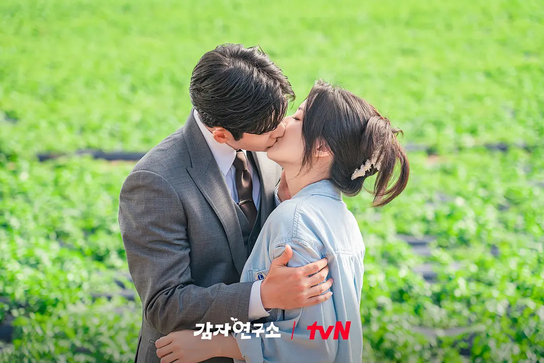 爱情发芽中 감자연구소 (2025)