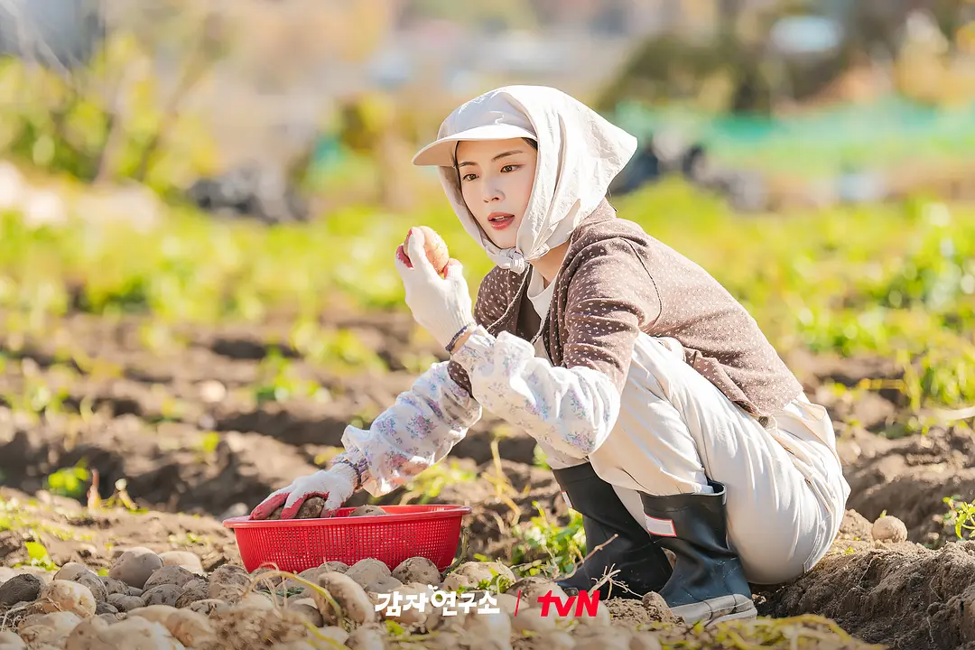 爱情发芽中 감자연구소 (2025)
