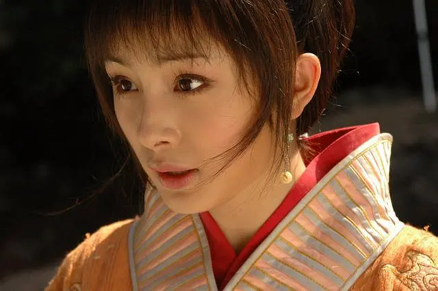 王昭君 (2007)