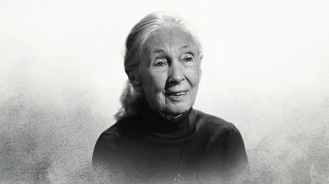 最后一席话：珍·古道尔博士 Famous Last Words: Dr. Jane Goodall (2025)