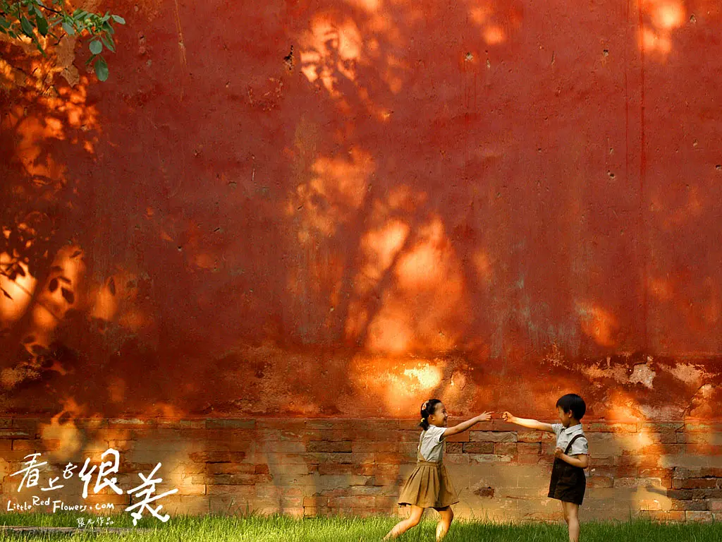 看上去很美 (2006)
