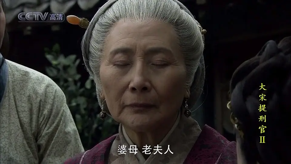 大宋提刑官2 (2006)