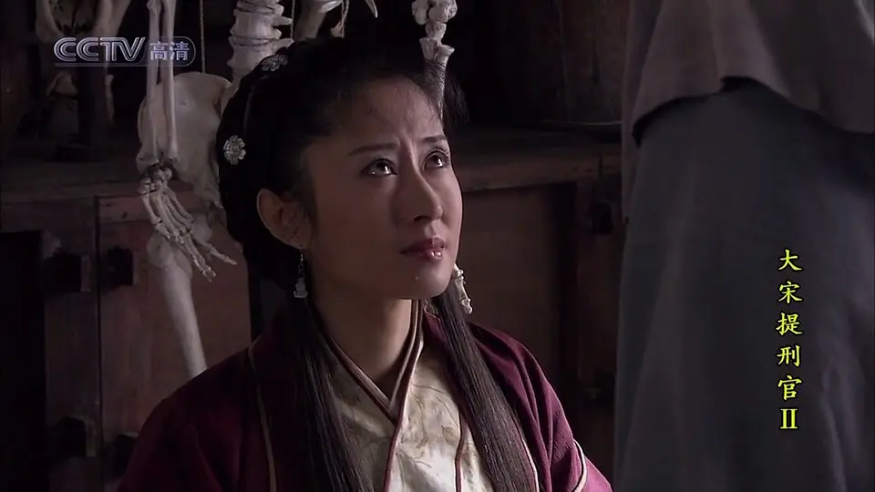 大宋提刑官2 (2006)