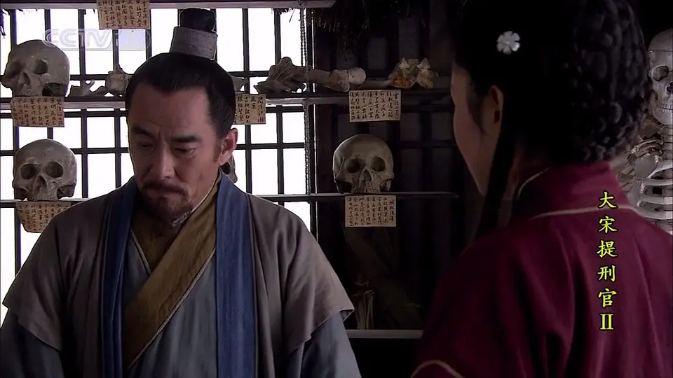 大宋提刑官2 (2006)