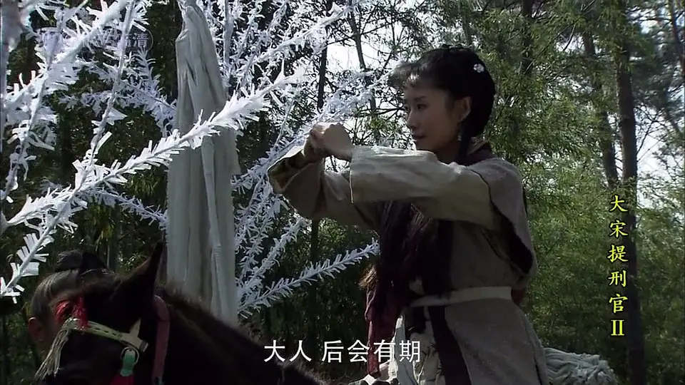 大宋提刑官2 (2006)