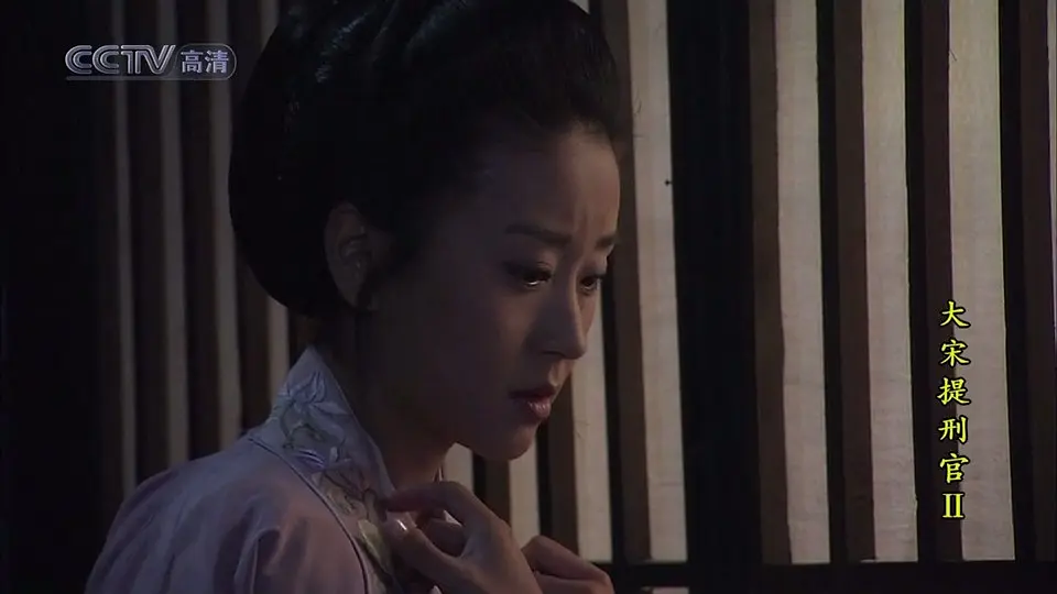 大宋提刑官2 (2006)