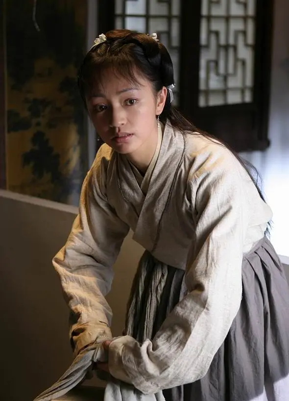 大宋提刑官 (2005)