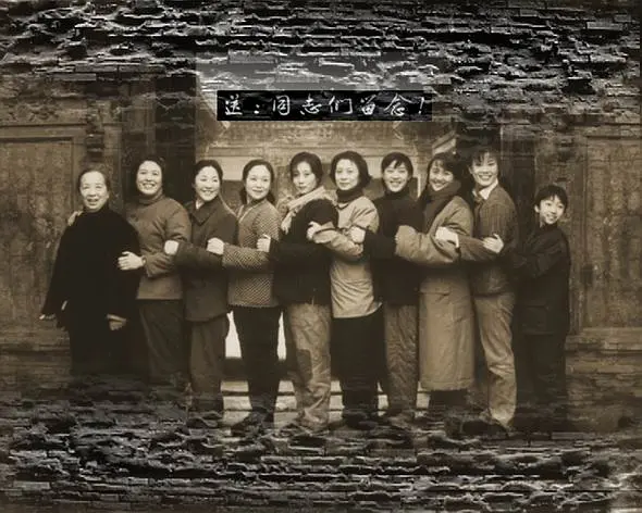 家有九凤 (2005)