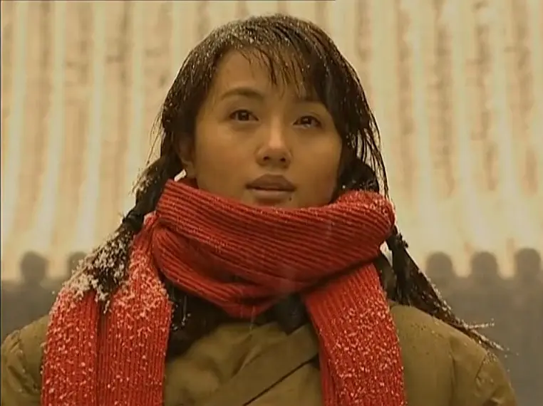 家有九凤 (2005)