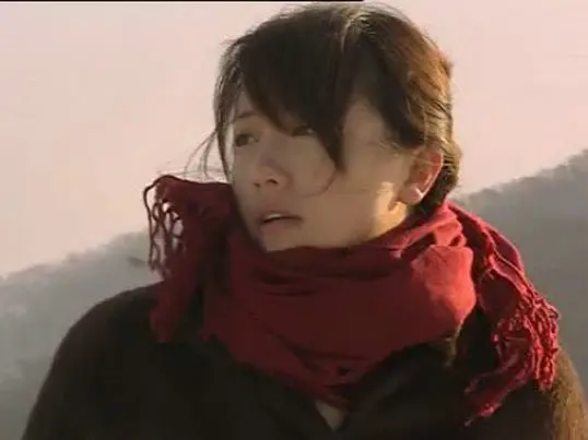 家有九凤 (2005)