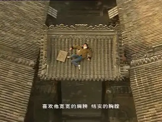 家有九凤 (2005)