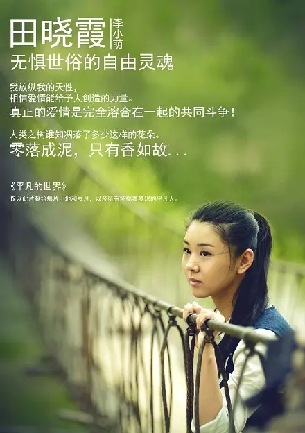 平凡的世界 (2015)