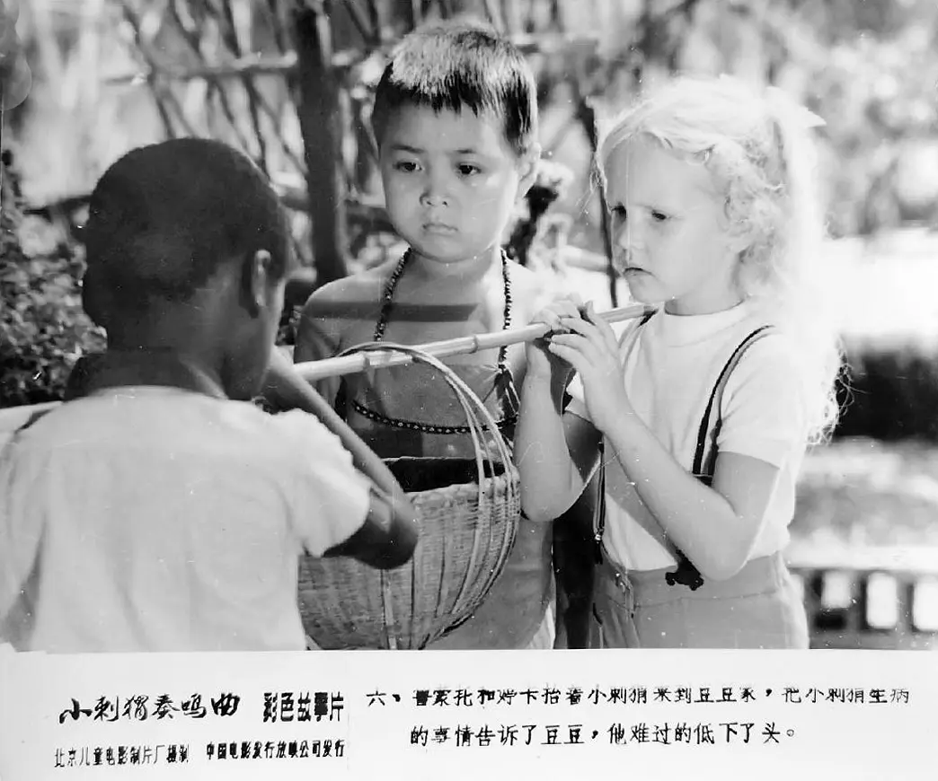 小刺猬奏鸣曲 (1983)