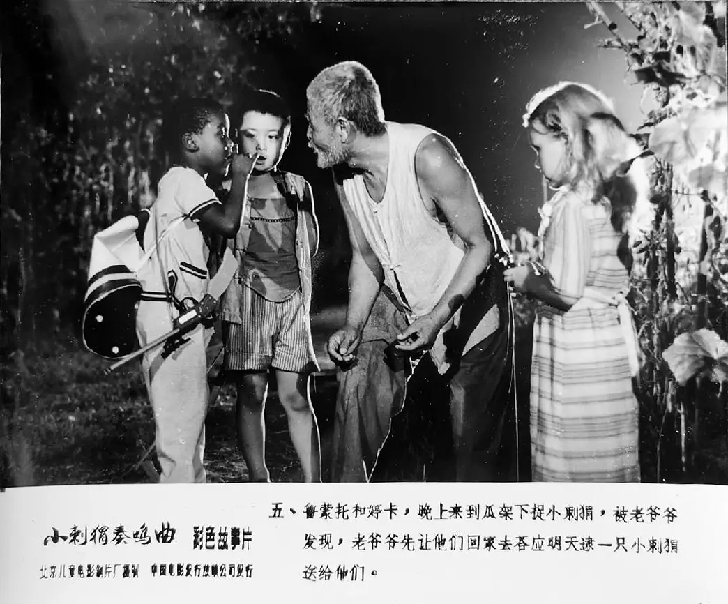 小刺猬奏鸣曲 (1983)