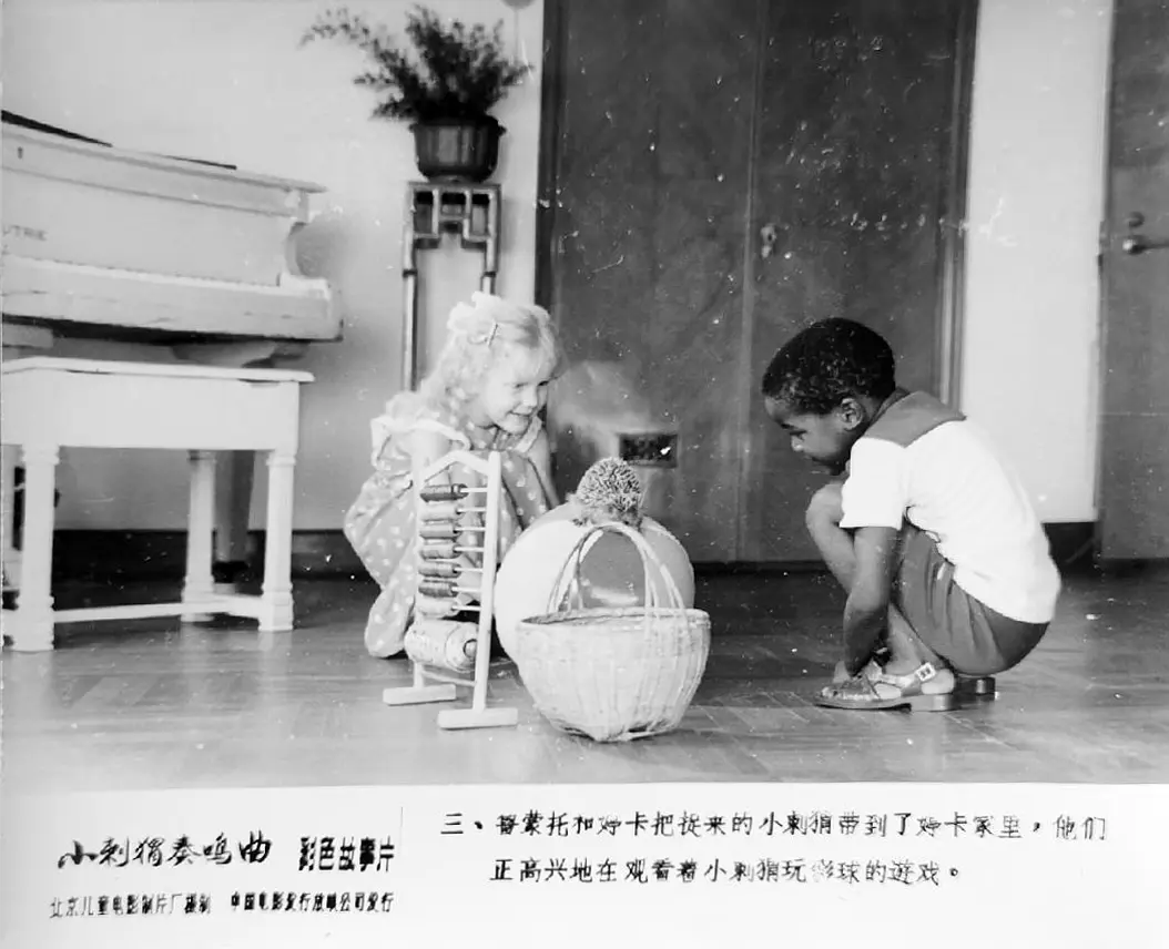 小刺猬奏鸣曲 (1983)