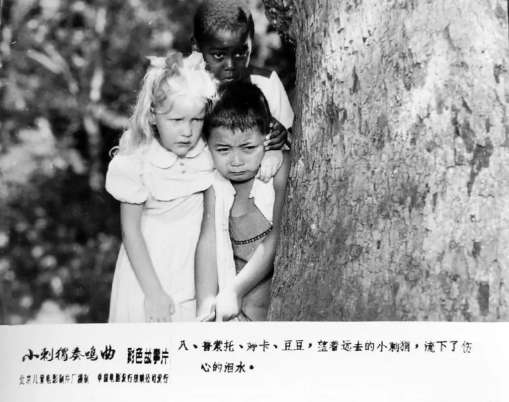 小刺猬奏鸣曲 (1983)