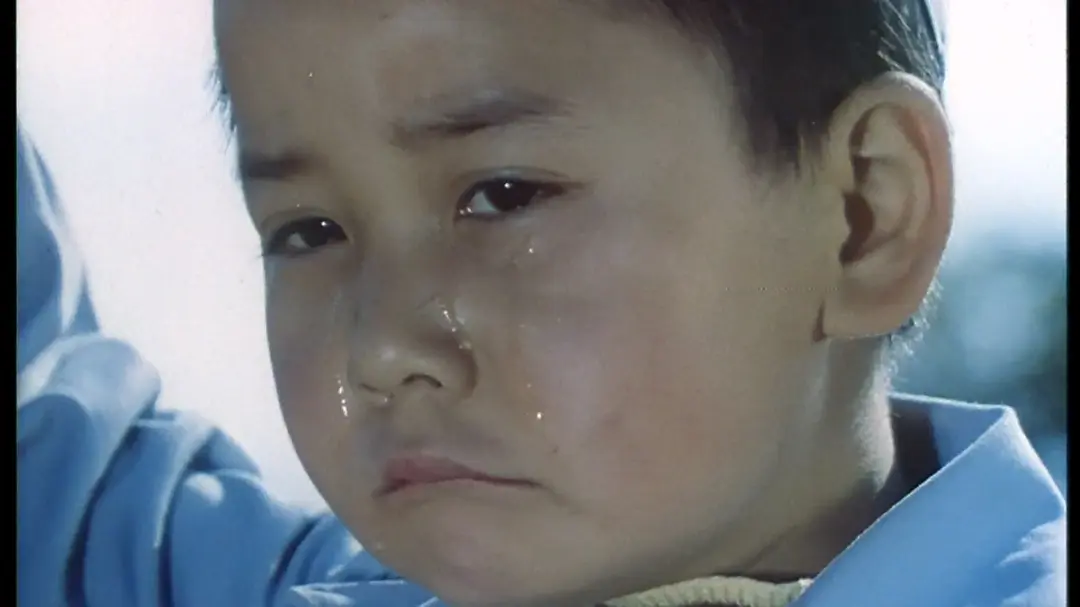 应声阿哥 (1982)
