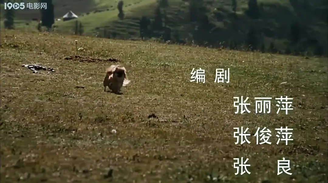 戴口罩的小狗 (1998)