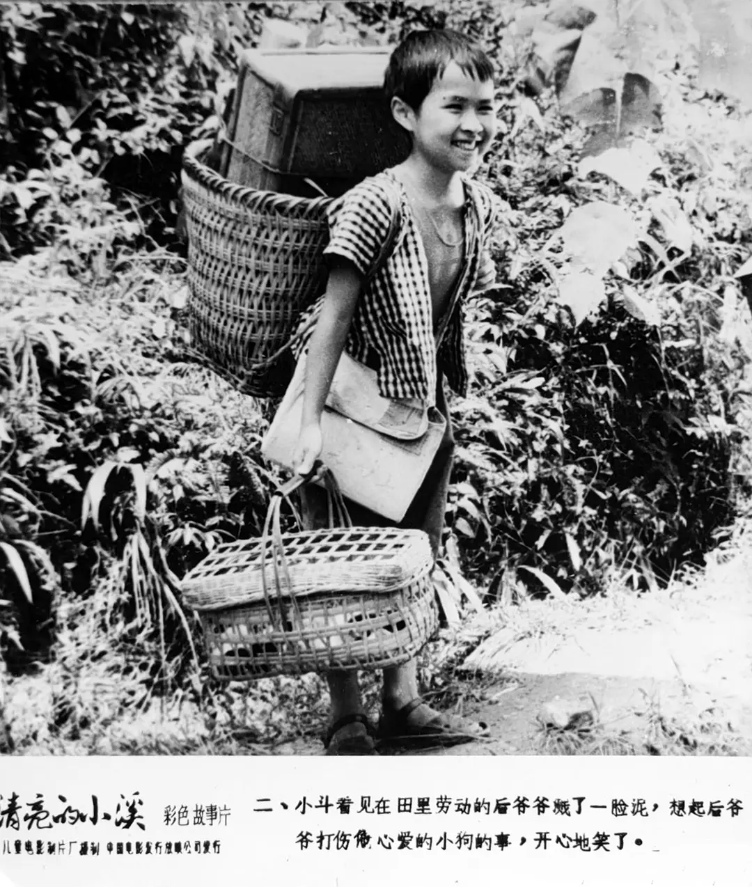 清亮的小溪 (1984)