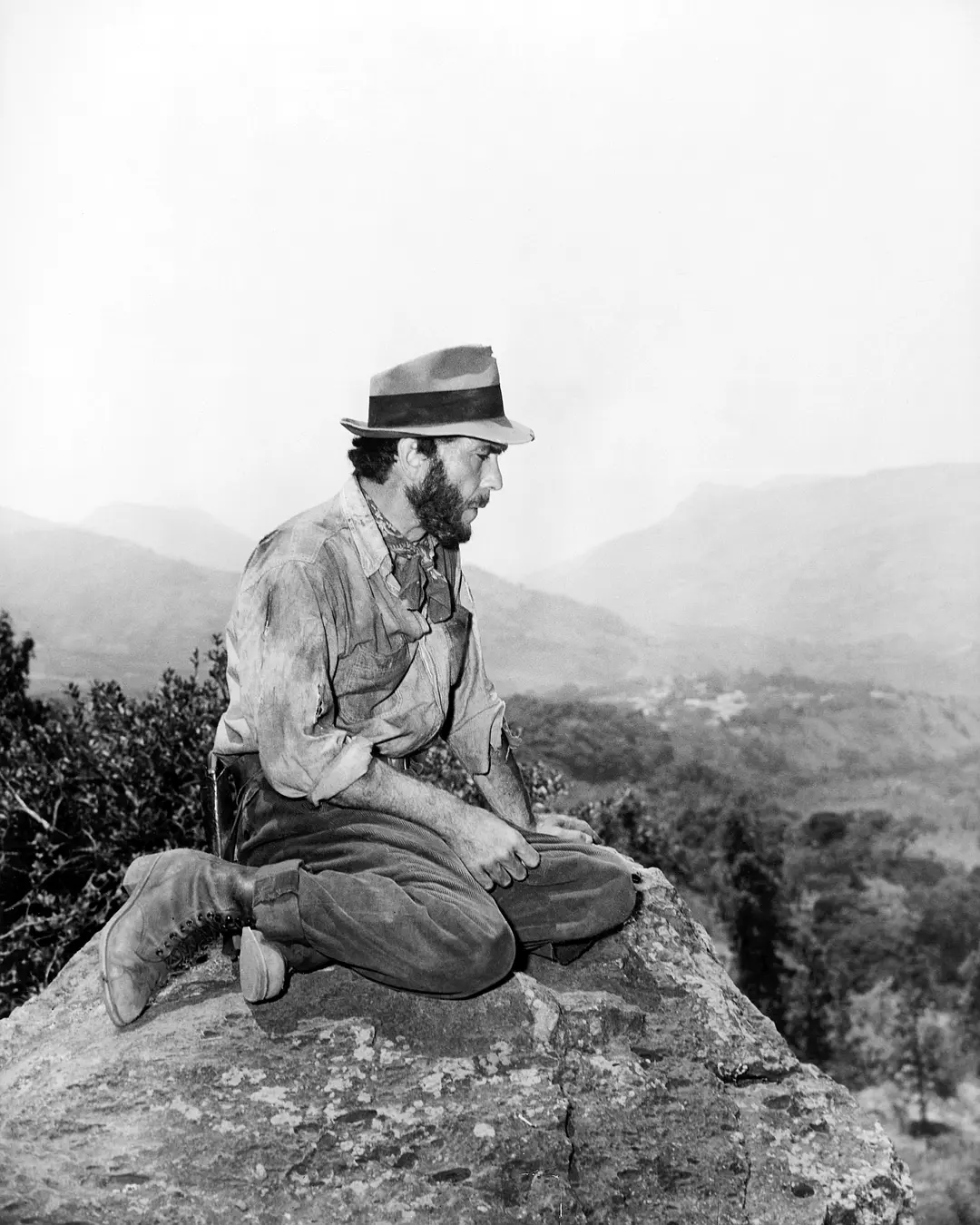 碧血金沙 The Treasure of the Sierra Madre (1948)