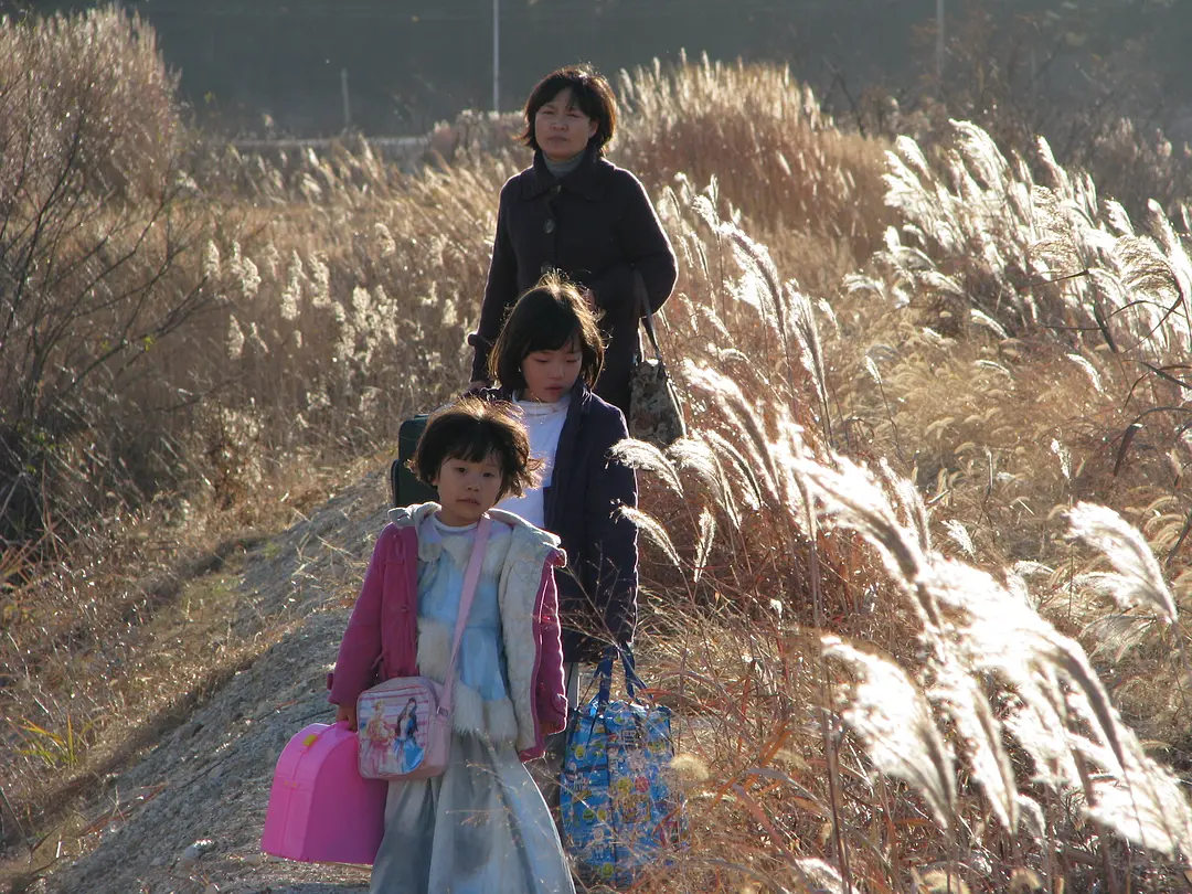 无树之山 나무없는 산 (2009)