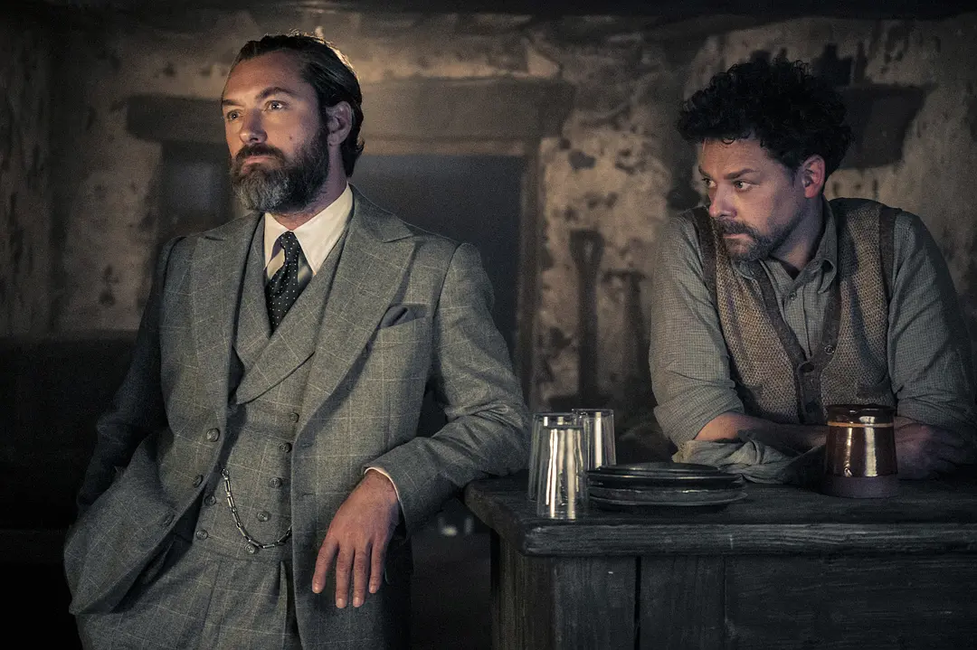 神奇动物：邓布利多之谜 Fantastic Beasts: The Secrets of Dumbledore (2022)