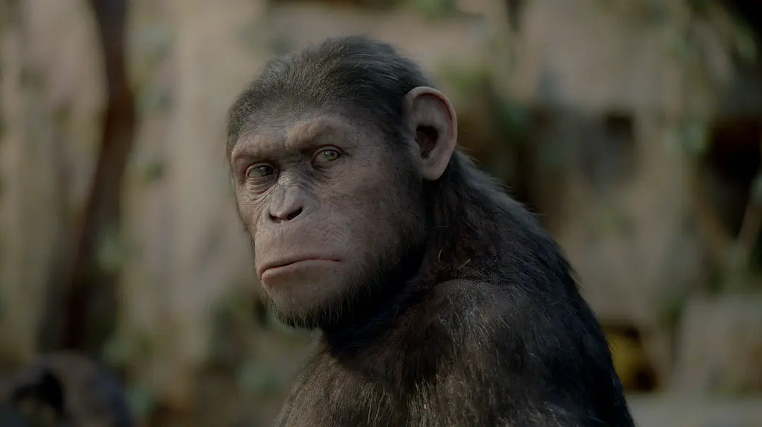 猩球崛起 Rise of the Planet of the Apes (2011)