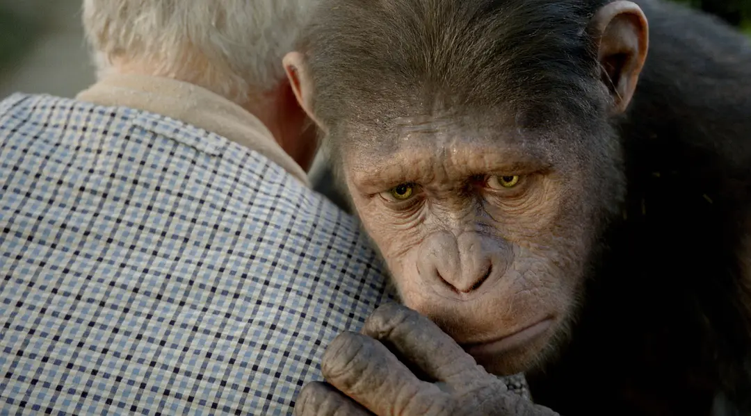 猩球崛起 Rise of the Planet of the Apes (2011)