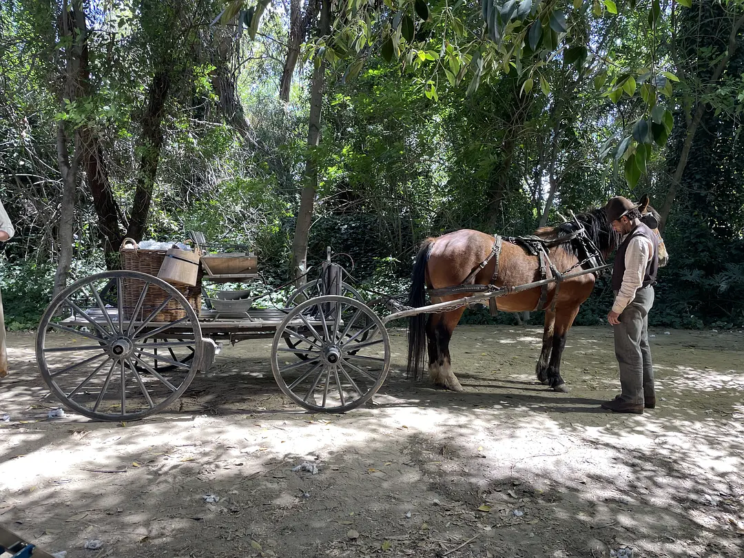甜水 Sweetwater (2023)