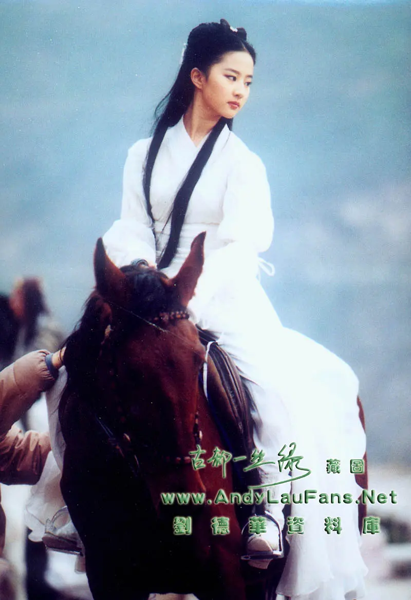 神雕侠侣 (2006)