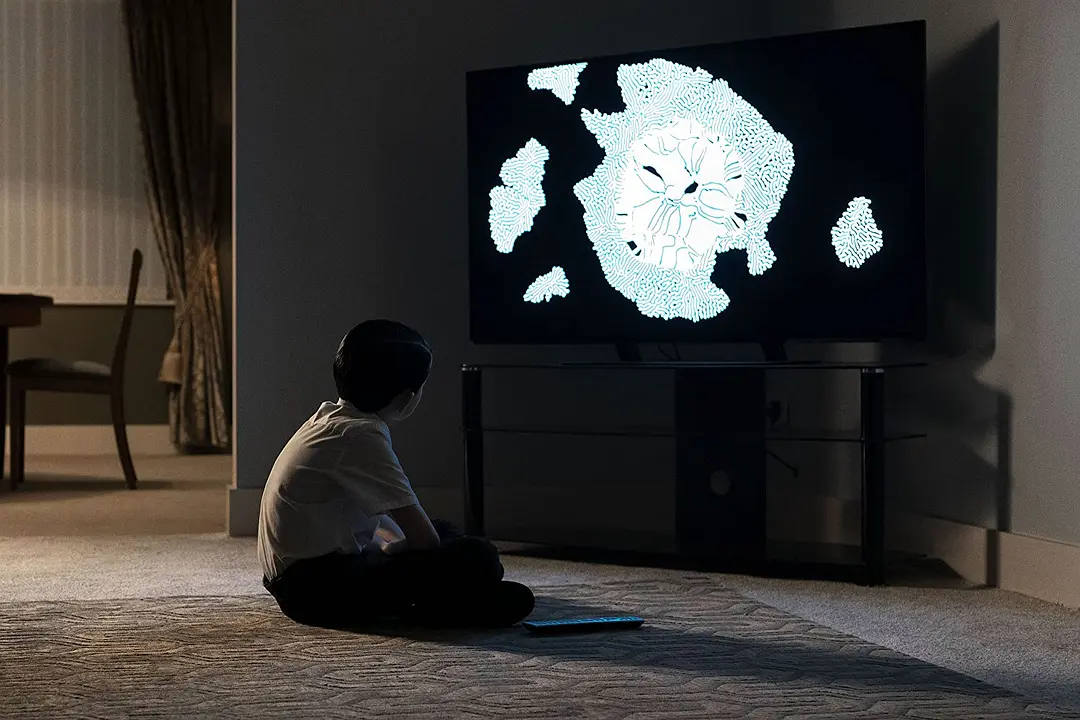 生态箱 Vivarium (2019)