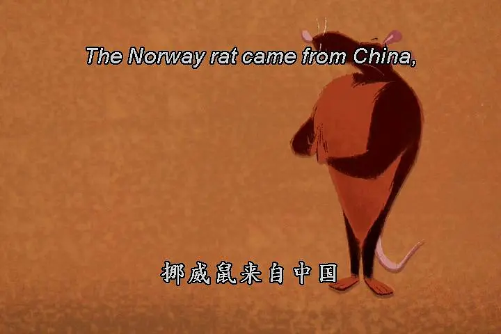 你的老鼠朋友 Your Friend the Rat (2007)