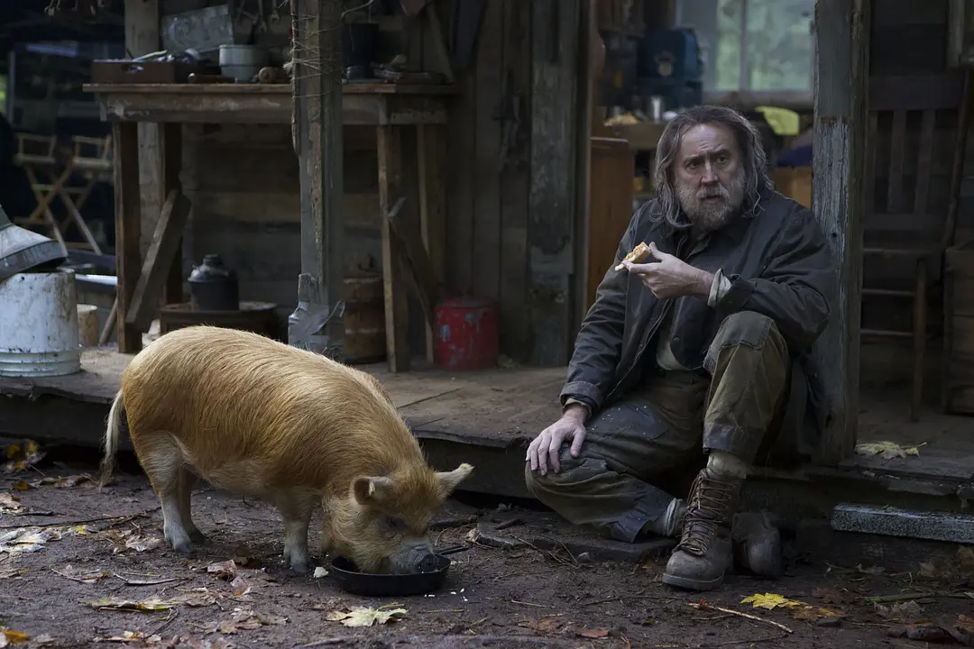 救猪行动 Pig (2021)
