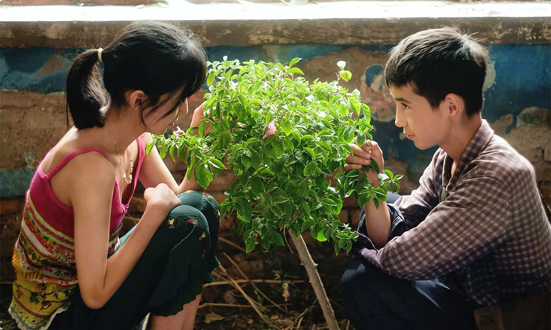 植物学家 (2025)