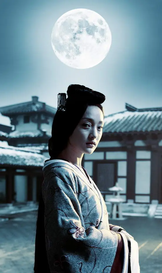 画皮 畫皮 (2008)