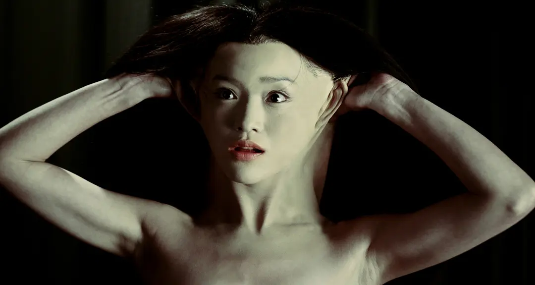 画皮 畫皮 (2008)
